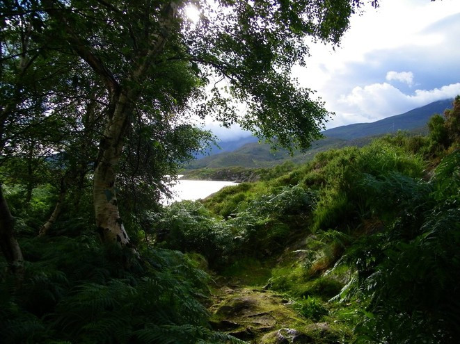 Detektei Irland | Detektiv Irland | Privatdetektiv Irland | Wirtschaftsdetektei Irland